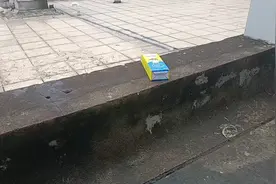 讲个复杂得概念资产负债表式衰退视频封面