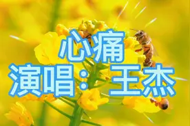 什么是爱什么又是无奈，无言的相对我似乎已明白。心痛，太伤感了视频封面