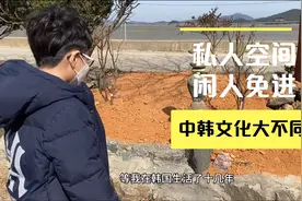 中韩文化大不同：韩国人很少请人到家做客视频封面