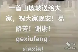 大家早上好！视频封面