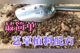 最简单养艺草的植料配方分享给大家，养兰草经济实用效果好。视频封面