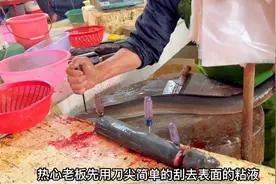 今天买条鳗鱼做火锅，带大家看看南方市场摊主，起肉去骨切片视频封面