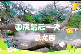 国庆最后一天，看下恐龙园人多不多