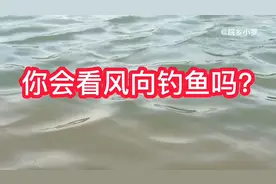 你会看风向钓鱼吗？水广鱼稀，找对位置，注重细节，告别打龟不难视频封面
