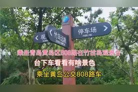 乘坐青岛市黄岛区808路车，竹岔岛观景台下车看看美景视频封面