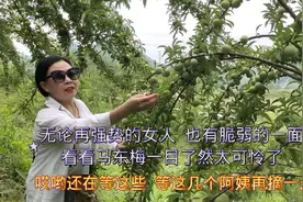 无论再强势的女人，也有脆弱的一面，看看马东梅一目了然太可怜了视频封面