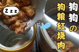 狗狗挑食就吃点红烧肉，视频封面