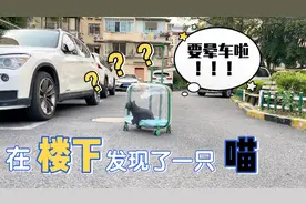 在楼下发现了一只喵！果断带走，终于有猫可以撸啦！#奇妙的猫咪#