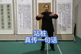 站桩真正要领真传一句话，老师最后道出了真言视频封面