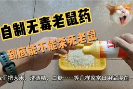 简单有效的四大灭鼠方法实测，自制无毒老鼠药到底能不能消灭老鼠视频封面