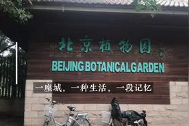 北京植物园游览路线你记住了吗？视频封面