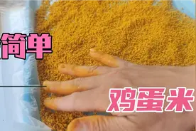 关内小城：今天做个最简单的鸡蛋米做法，看看玉鸟能爱吃不