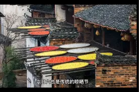 六月六下雨好不好呢？看看老祖宗留下的俗语怎么说视频封面