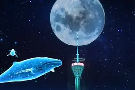 成都339熊猫塔AR灯光秀视频封面