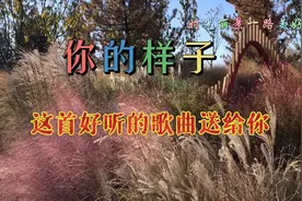 我听到传来的谁的声音…罗大佑词曲，经典歌曲《你的样子》好听！视频封面