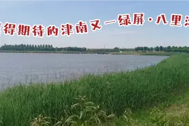 值得期待的津南又一绿屏·八里湾视频封面