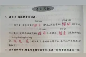 五下语文作业本语文园地一视频封面