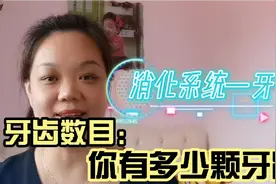 牙齿的数目一直在变化中，看看你应该有多少颗牙    #生命摆渡人视频封面