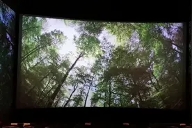 4DX影厅初体验视频封面