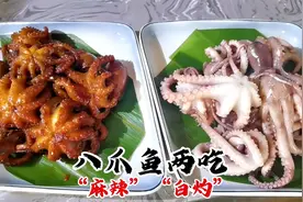 八爪鱼一定要学会这两种吃法，咸鲜麻辣口感脆嫩，总有一款适合您
