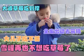 雪峰跟大姑姐二姑姐关系原来是这样的 孩子不叫雪峰舅妈而叫小姨视频封面