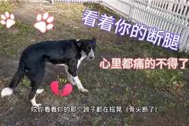 一周了你的断腿还在那样晃晃荡荡的，看着都痛！俄罗斯冬天难熬啊视频封面