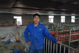 猪猪脚痛脚瘸该怎么办，用这个办法治疗，打一针就好视频封面