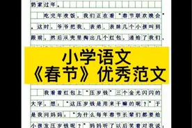 关于《春节》的优秀范文视频封面