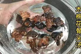广东人用木棉花来煲汤，木棉花晒干与猪骨煲汤，广东人的祛湿汤视频封面