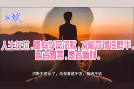 人生在世，唯有学会沉默，才能守得住繁华。智者寡言，愚者善辩。视频封面