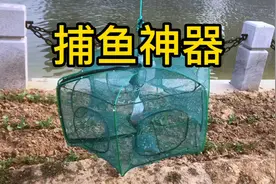 据说：有了这款捕鱼神器只需一会功夫就能捕获很多鱼，帅小伙实测视频封面