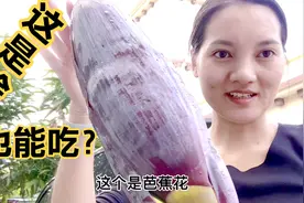 云南人都爱吃野味，晚餐一荤两素都是大自然的馈赠，看看都有啥？
