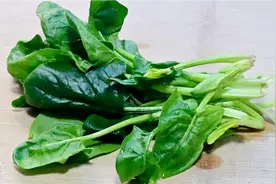 用菠菜给宝宝做辅食好处多，补钙补铁促进生长，宝宝便秘就吃它！视频封面