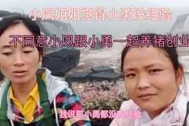 打工妹小凤姐姐不同意小凤跟小勇养猪创业，想让小凤离开小勇视频封面