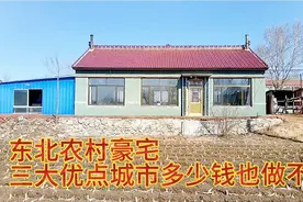 东北农村豪宅，三大优点，城里人花多少钱你也做不到，你信吗视频封面