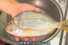二十多块买条方头鱼，用它来分享潮汕老菜脯做法，鱼肉鲜嫩入味视频封面