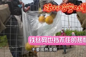 骑行哈密吐鲁番
快到吐鲁番城镇时铁丝网也挡不住果农们的热情视频封面