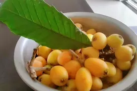 自制川贝枇杷膏，2分钟就能学会！家有小孩，必备1罐，远离咳嗽。视频封面