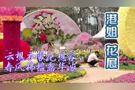 香港花展之香港小姐艺员造型摄影视频封面