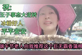 端午节老人向我推荐这个巨无霸香蒲，以此祈祷王相军案情真相大白视频封面