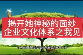 揭开那神秘的面纱，企业文化体系之我见视频封面