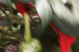 湖南特色坛子菜、泡酸辣椒🌶️视频封面