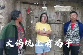河北张家口怀安小山村蝎子和蛇特多，一斤蝎子卖400元，敢来吗？视频封面