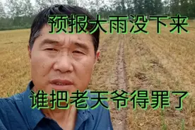 怪事了，预报有大雨它不下，预报小雨下大雨，这个情况很多年了！视频封面
