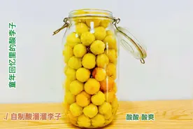 自制酸溜溜李子，比例配方最关键，个个酸甜爽脆，酸爽好吃