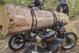 国外小哥用摩托车运输圆木，俩台越野摩托捆绑一起，操作有风险