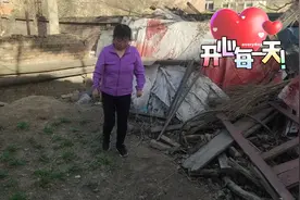 農家院种的苜蓿，苜蓿菜的九大功效跟大家聊一聊。视频封面