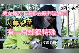 猫咪也会得恶性肿瘤，真的太可怜了。请大家一起关注他们的生活。视频封面