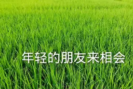 光荣属于八十年代的新一辈…学唱《年轻的朋友来相会》视频封面