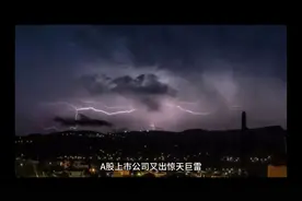A股上市公司又爆雷，中小投资者损失找谁负责